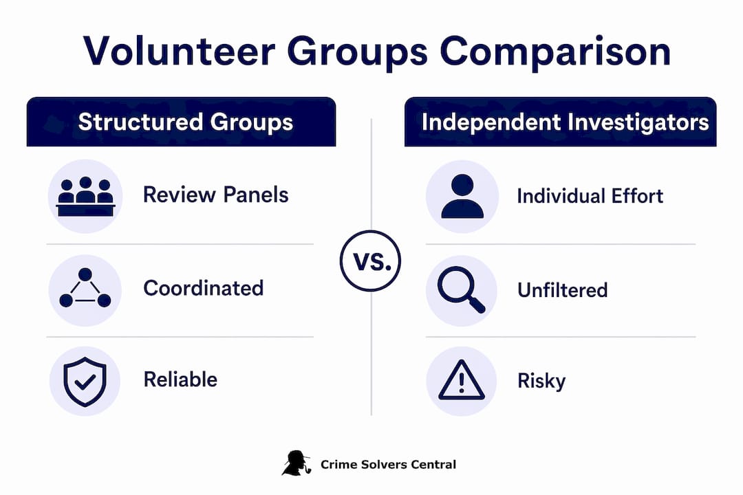 Infographic comparing structured groups and independent investigators