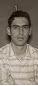 James Roesslein death by force case in Fenton, MO