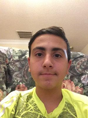 Ahbteen Oveissi death by force case profile photo