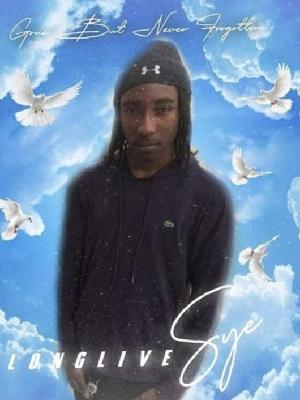 Syehe Rashaad Brunson death by force case in Halethorpe, MD
