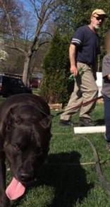 Steven Beck death by force case in Rockville, MD
