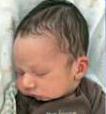 Samuel Asefa death by force case profile photo