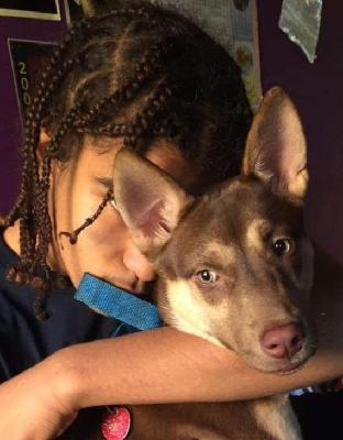 Angel Caraballo death by force case in Queens, NY