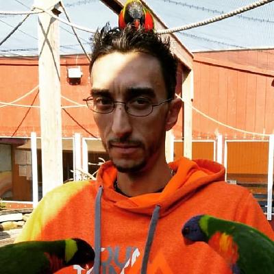 Bashir Ward death by force case in Glen-head, NY