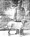 Mathew Wilson death by force case in Cobleskill, NY
