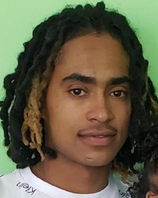 Richard Clinton Robinson death by force case in Fawnskin, CA