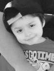 Franklin Elliott Steele death by force case in Oroville, CA