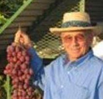 Jakov Dulcich death by force case in Delano, CA