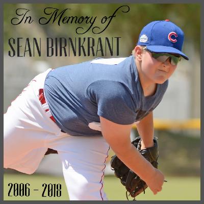 Sean Birnkrant death by force case in Santa-clarita, CA