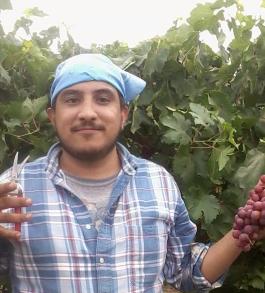 Eddie Castro death by force case in Bakersfield, CA