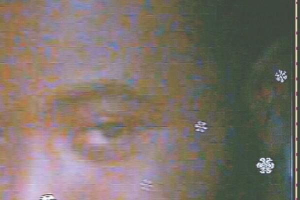 Michael Rackard death by force case in Clearwater, FL