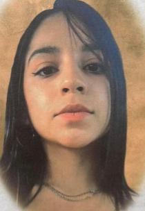Deniss Becerra death by force case profile photo