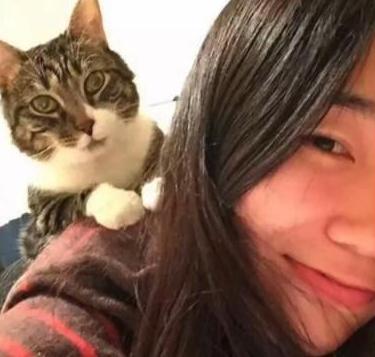 Shuyi Li death by force case profile photo