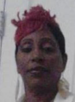 Joanne Redding death by force case profile photo