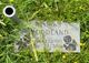 Raymond Woodland death by force case profile photo