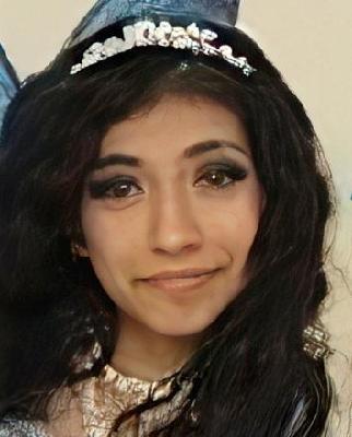 Ruby Navarrete death by force case in Chicago, IL