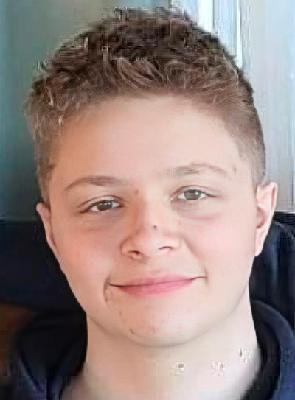 Austin Michael Robinson death by force case in Litchfield, IL