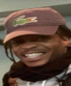 Roosevelt Harris death by force case in Chicago-southside, IL