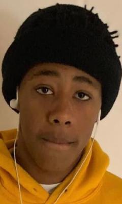 Jamerion Wales death by force case in Chicago, IL