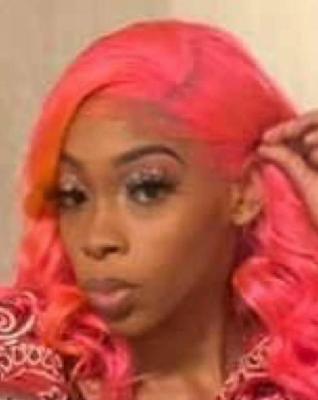 Tiarra Robinson death by force case in Chicago, IL