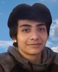 Roberto Avila Juarez death by force case in Hoffman-estates, IL