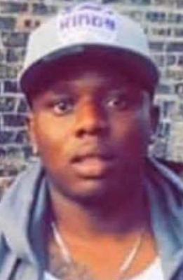 Maurice Logan death by force case in Chicago, IL