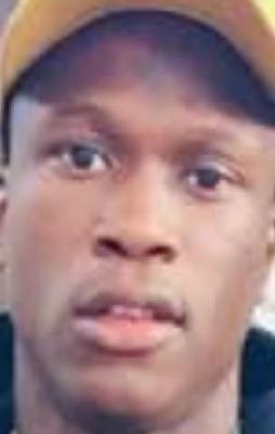Pares Preston Harrington death by force case in Chicago, IL