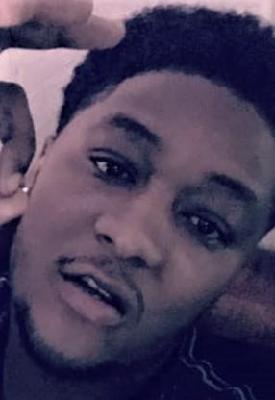Terry Green death by force case in Chicago, IL
