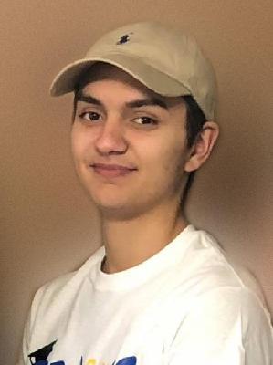 Austin Camareno death by force case in Danville, IL