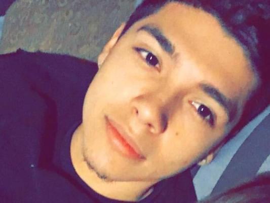 Emmanuel Hernandez-Arroyo death by force case in Joliet, IL