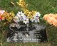 Timothy Patterson death by force case in Detroit, MI
