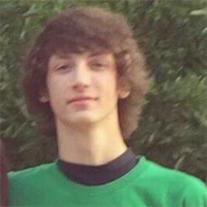 Michael Avara death by force case profile photo
