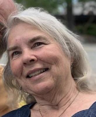 Lisa Flinn death by force case profile photo