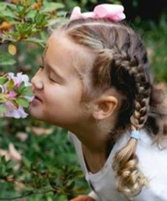 Aylee Eden Alexandra Gordon death by force case in Hendersonville, NC