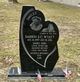 Darrin Wyatt death by force case in Detroit, MI