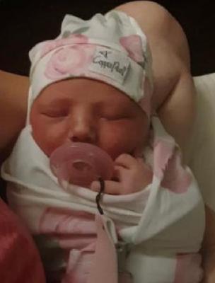 Caroline Carol Elizabeth Ireland death by force case in Vanceboro, NC