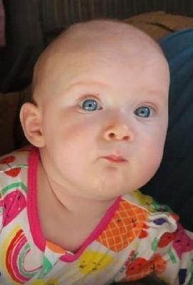 Alice Elizabeth Porter death by force case in Brook-park, OH