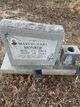 Marvin Monroe death by force case in Detroit, MI