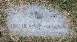 Karin Ansari death by force case profile photo
