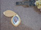 Demario Brown death by force case profile photo