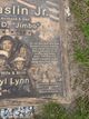 James Mccaslin death by force case in Detroit, MI