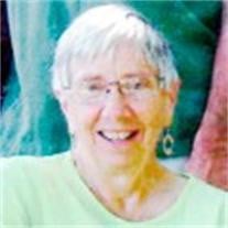 Lois Swenson death by force case profile photo