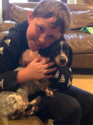 Trace Walker Dodd death by force case in New-braunfels, TX