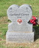 Garland Carter death by force case in St. Louis, MO