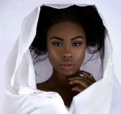 Danielle Chaney death by force case in Houston, TX