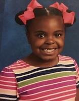 DeMaree Adkins death by force case in Houston, TX