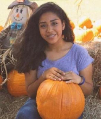 Ashley Segura Garcia death by force case in Mcallen, TX