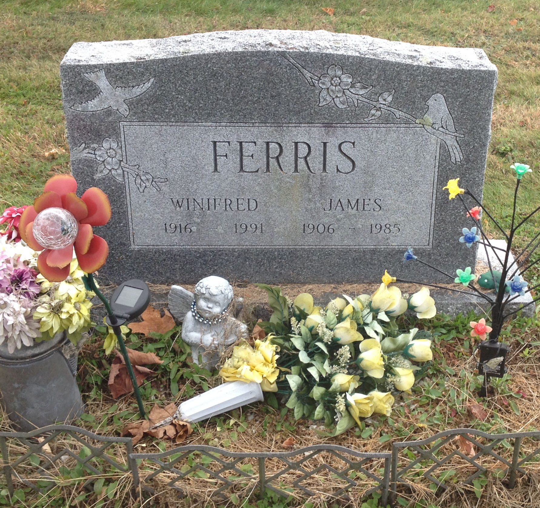 James Ferris death by force case in Kansas City, MO