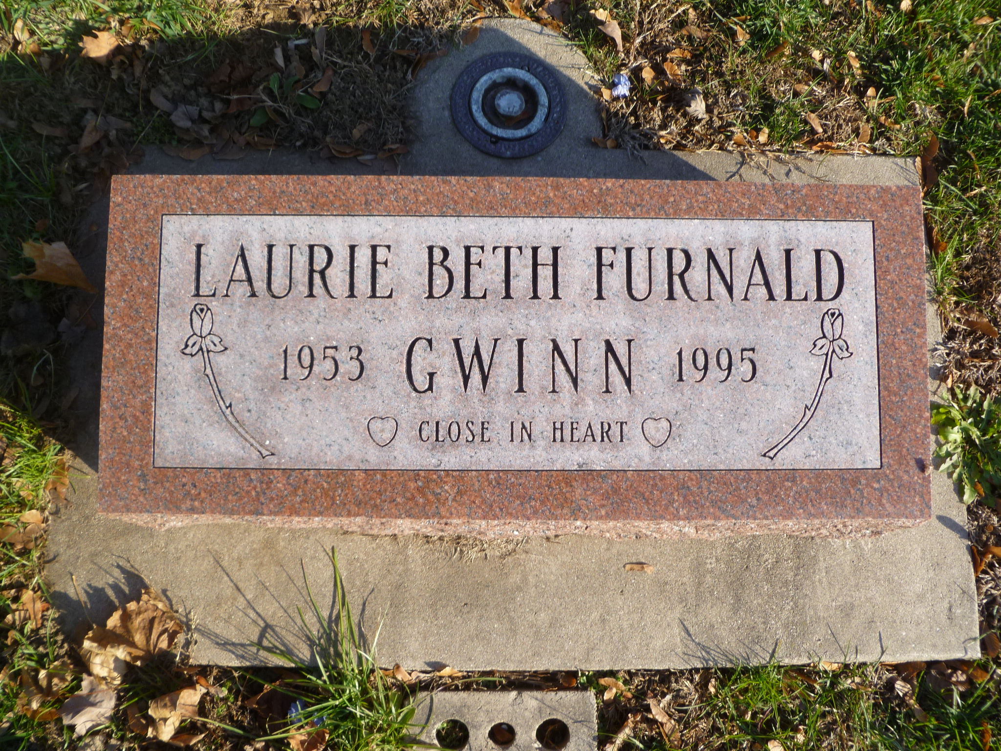 Laurie Gwinn death by force case in Kewanee, IL