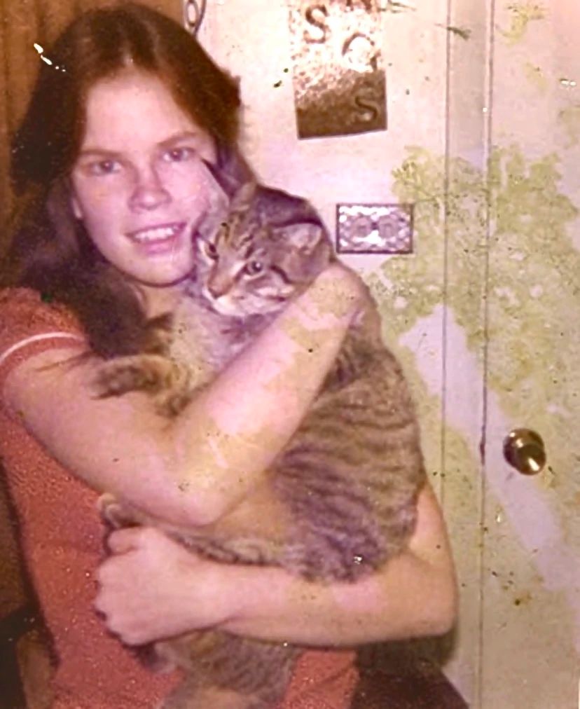 Deborah McCall death by force case profile photo